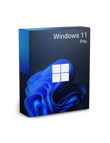 Windows 11 pro